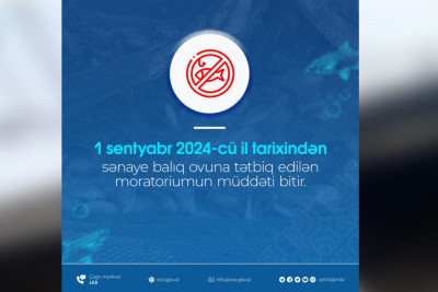 Sənaye balıq ovuna tətbiq edilən qadağa bitir