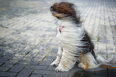 Meteoroloqlar əhaliyə xəbərdarlıq edib