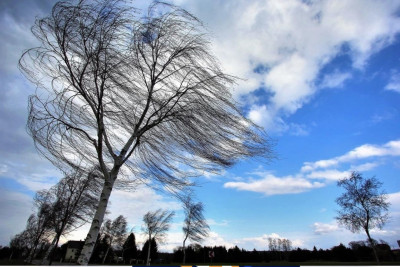 Şimal: küləkli hava gözlənilir