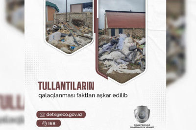 Xaçmaz: "El Faro"da qanun pozuntusu aşkarlanıb