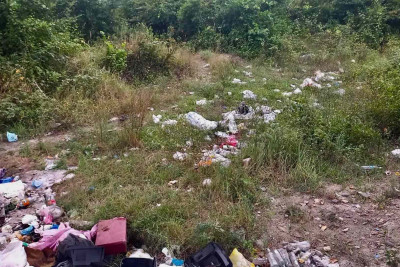 ETSN: 2 rayon ərazisində meşələr təmizlənilib