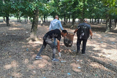 Xaçmazda Təmizlik Marafonu keçirilib