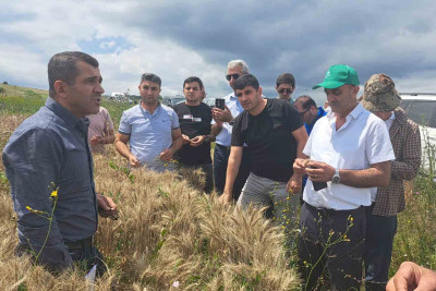 Şimal: Toxum və tinglərə dair təlim keçirilib
