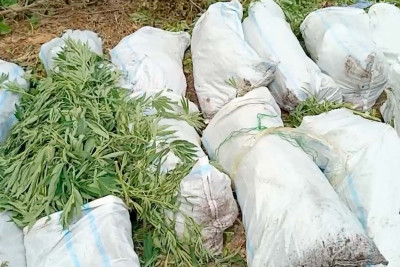 Xaçmazda polis əməliyyat keçirdi: Saxlanılanlar var