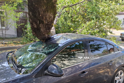 Qubada ağac maşının üzərinə düşüb