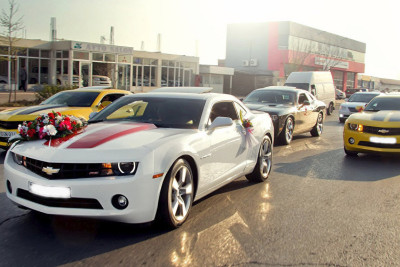 DİN-dən toy karvanı iştirakçılarına müraciət