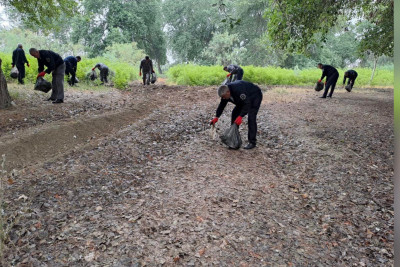 Məşələr tullantılardan təmizlənib