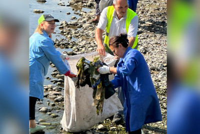 “Təmiz ölkəm” devizi altında Xəzərin sahilləri təmizlənib