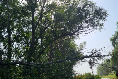 Xaçmazda külək elektrik xətlərini zədələyib