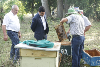 Xaçmazda arıçılıq bu il bol məhsul verib