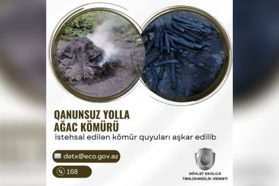 İsmayıllıda qanunsuz kömür istehsalı aşkarlanıb