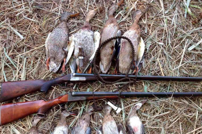 İsmayıllıda qanunsuz ov edənlər saxlanılıb