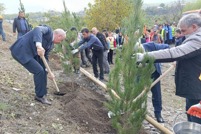 Qusar rayonunda genişmiqyaslı ağacəkmə aksiyası keçirilib