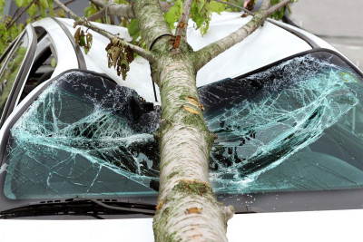 İsmayıllıda maşın ağaca çırpılıb - Yaralılar var