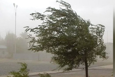 Küləkli hava şəraiti ilə əlaqədar XƏBƏRDARLIQ