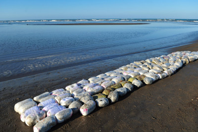 Külli miqdarda narkotik vasitənin ölkə ərazisinə keçirilməsinin qarşısı alınıb