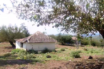 İsmayıllının bu kəndində cəmi 1 ailə yaşayır - VİDEO