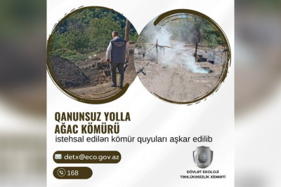Qubada qanunsuz kömür quyuları aşkar olunub