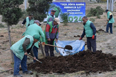 Quba yolunda 300 min ağac əkiləcək