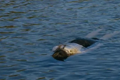 Şabranda kanalda tapılan qadın meyitini çıxarmaq mümkün deyil - SƏBƏB