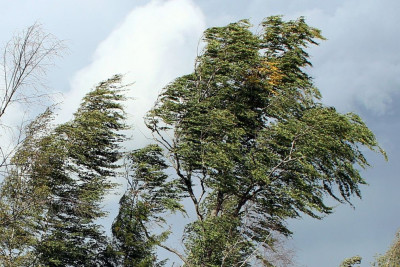 Küləkli hava ilə bağlı XƏBƏRDARLIQ