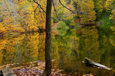 Balasını itirən ana, dağdan qayıdan qız... – İsmayıllının sirli gölündən REPORTAJ