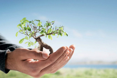 Qubada “Bir ağac – min nəfəs” aksiyası