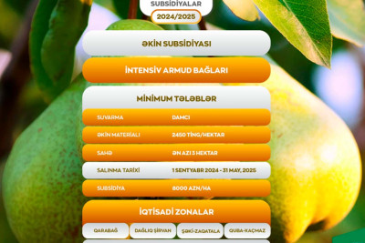 Meyvə bağı sahiblərinə şad xəbər: 8000 manatadək dəstək