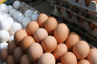 Qusarda kənd yumurtası niyə 50 qəpiyə satılır? - SƏBƏB