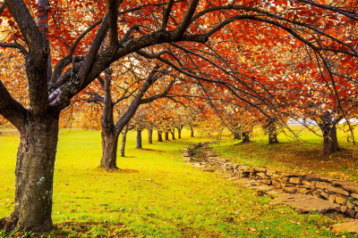 Bazar gününə olan hava proqnozu