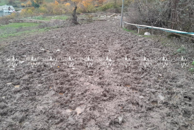 Qalaaltıda kanalizasiya suları kəndə axır - VİDEO