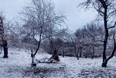 Şimal bölgəsi ağ örpəyə bürünür - VİDEO