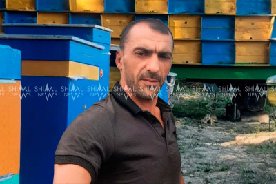 Xaçmazlı arıçıdan gənələrə qarşı yeni dərman