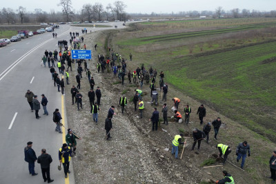 Xaçmazda ağacəkmə aksiyası keçirilib