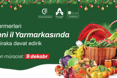 "Kənddən Şəhərə" Yeni il yarmarkası üçün qeydiyyat başladı