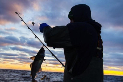 Qanunsuz balıq ovlayan şabranlılar saxlanılıb