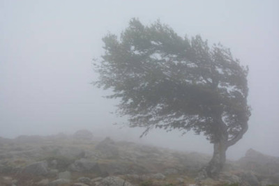 XƏBƏRDARLIQ: Güclü külək əsəcək