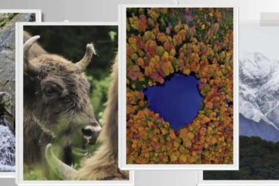 Bu gün Şahdağ Milli Parkının yaradılmasından 18 il keçir