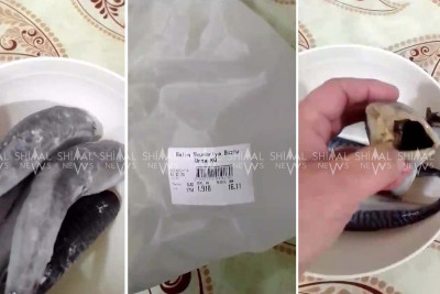 Xaçmaz marketlərində balıq əvəzinə buz satılır?-VİDEO