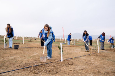 Şimalda bir gündə 8 min ağac əkilib - FOTO