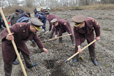 Şimalda meşəbərpa aksiyası keçirilib