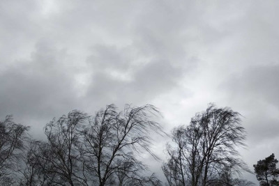 Bu rayonlarda güclü külək əsəcək - XƏBƏRDARLIQ