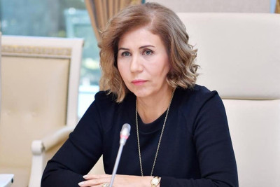 Bahar Muradova Şamaxıda vətəndaşları qəbul edib