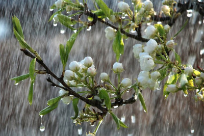 Şimalda yağıntılı hava şəraiti davam edir