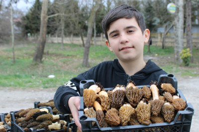 İki kiloqram quzu əti qiymətinə satılan quzuqarnı - FOTO