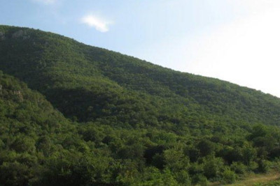 Daha bir neçə qoruğun sərhəd xəritələri hazırlanacaq