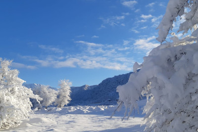 Şahdağa qar yağır