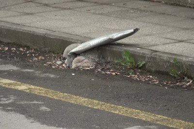 Quba şəhərində yol nişanlarının yoxluğu qəzalara səbəb olur - FOTO