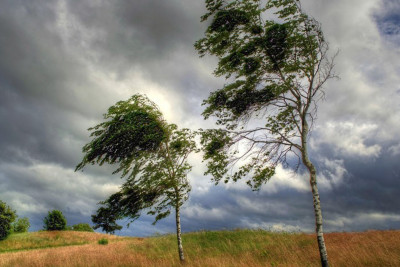 Şimala sarı və narıncı XƏBƏRDARLIQ
