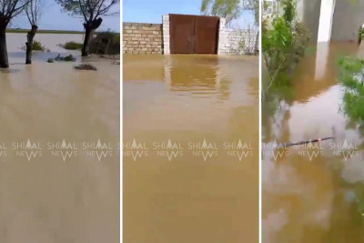 Bura Venesiya deyil, Şabrandır - VİDEO